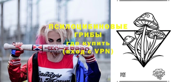 мдпв Надым