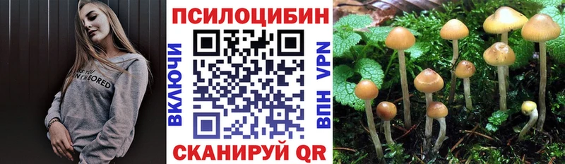 Галлюциногенные грибы мицелий  дарнет шоп  Белоозёрский 