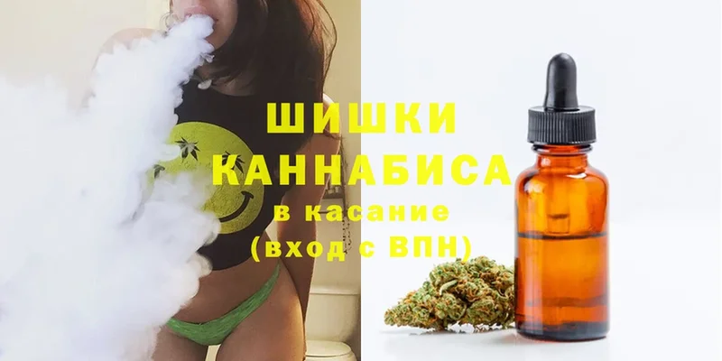 где купить наркотик  Белоозёрский  OMG ТОР  Канабис план 